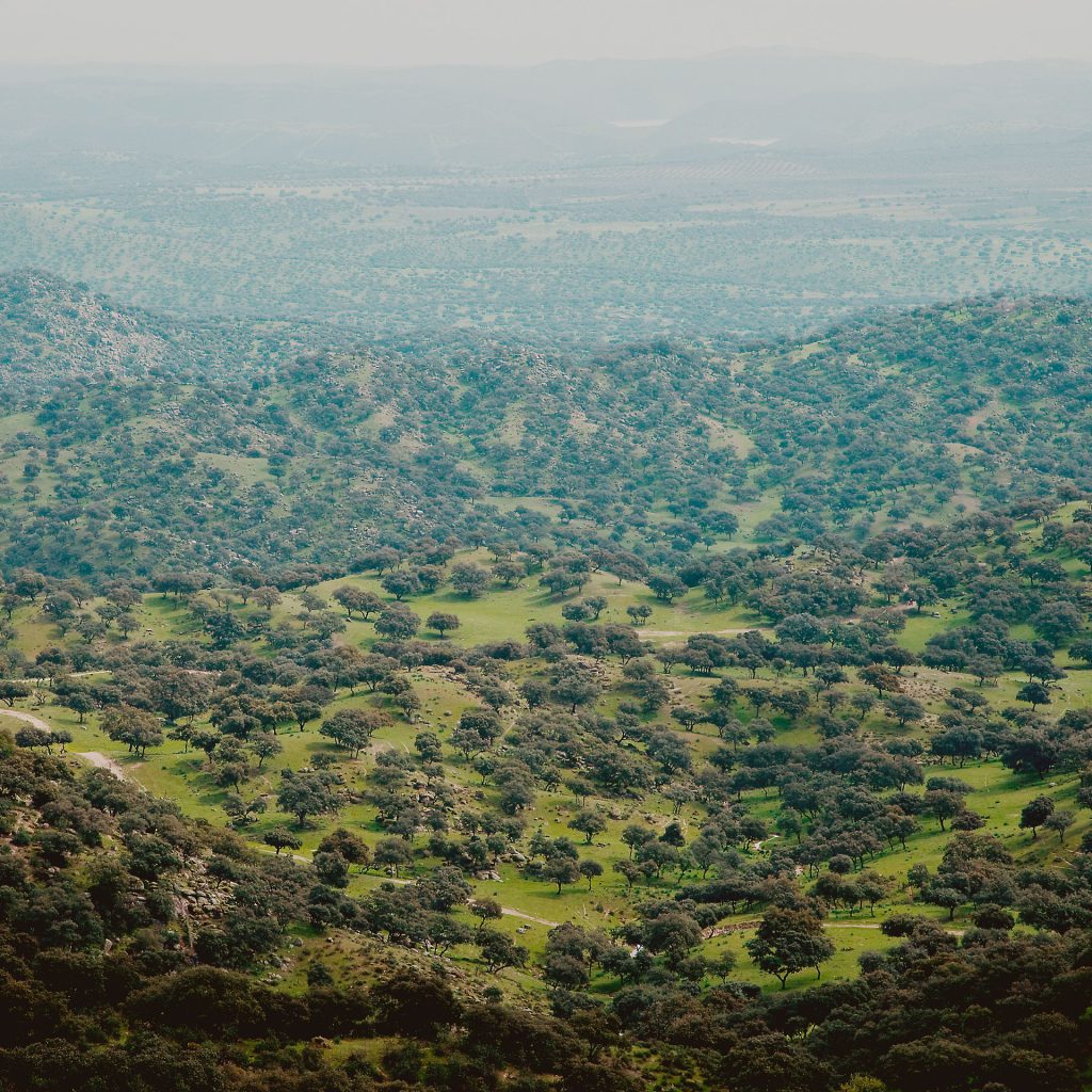 Dehesa Paraje